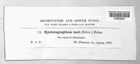 Image Associated With the Occurence